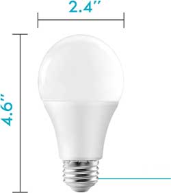 Dimensions of an A19 bulb