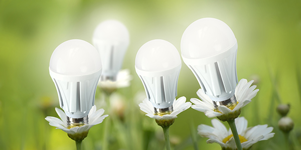 Why Led Lights Are Better For The Environment?