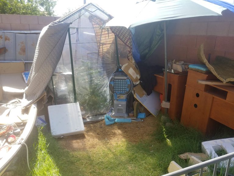 Is 82 Degrees Too Hot for Grow Tent