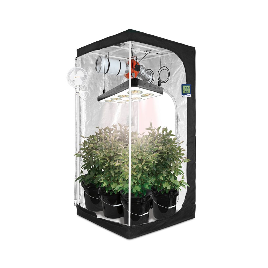 What Do I Need for a 3X3 Grow Tent - Brightest Lumen