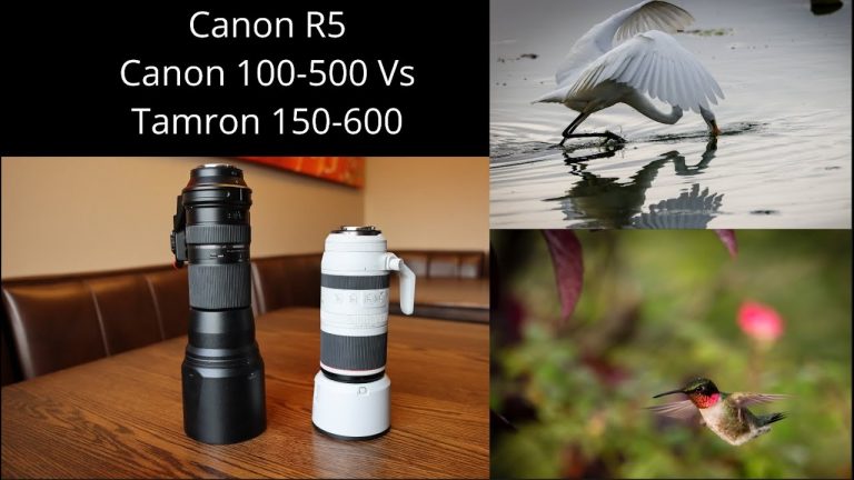 Canon Rf 100 500 Vs Sigma 150 600
