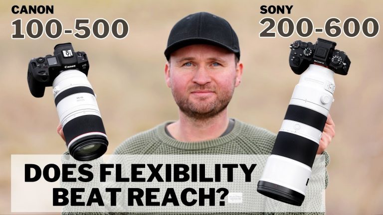 Sony 200-600 Vs Canon 100-500