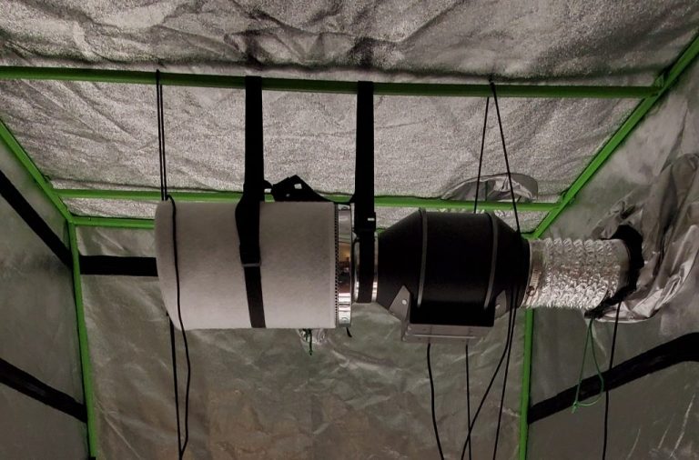 How to Set Up Exhaust Fan in Grow Tent